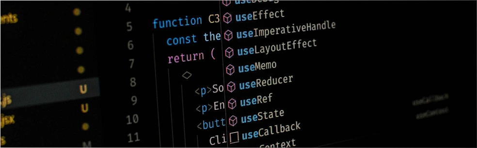 Web development feature